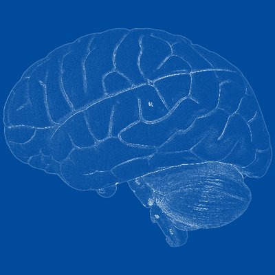 Neuroscience FR