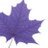 Laurier Math & Stats Learning Support