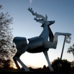Sport & Exercise Science @ University of Surrey