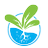 Healthy Hydroponics