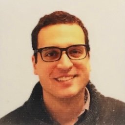 Nicolas P. D. Sawaya