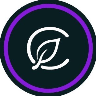 Curaleaf Connecticut