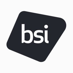 BSI America Professional Services, Inc.