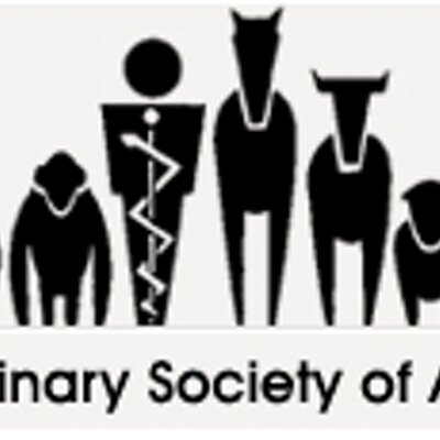 AVSAB Vet Behavior