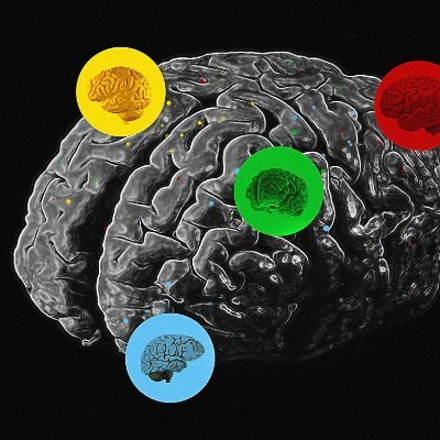 Clinical Social Neuroscience Lab