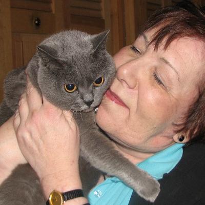 Darlene Arden, CABC