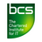 BCS Agile Methods SG