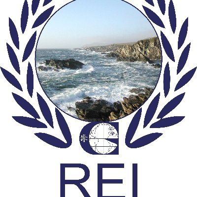 Renewable Energy Institute