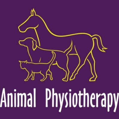 Animal Physiotherapy