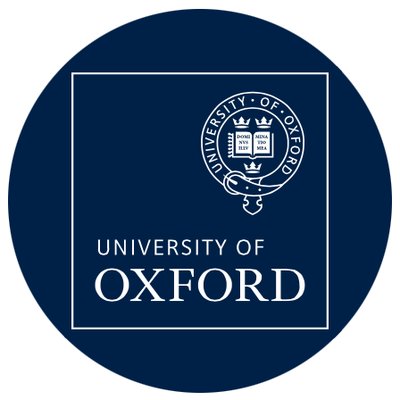 Oxford University Nanotechnology & Nanomedicine