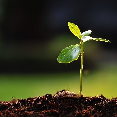Science for Sustainable Agriculture