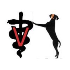 Chastain Veterinary