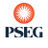 PSE&G