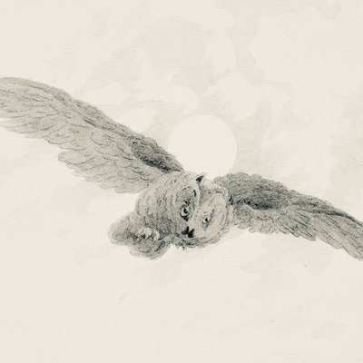 ARU Philosophy