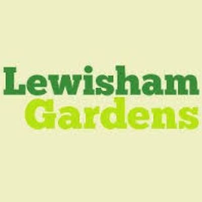 Perfect time to sow wildflowers!