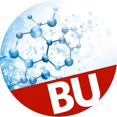 Boston University Nanotechnology Innovation Center