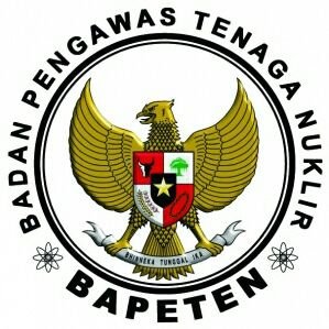 Badan Pengawas Tenaga Nuklir