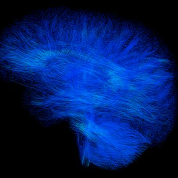 Neuroscience FIU
