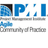 PMI Agile