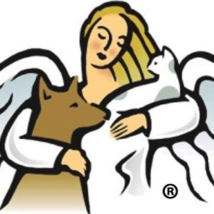 Angels For Animals Veterinary Hospital & Shelter