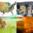 LANDFIRE
