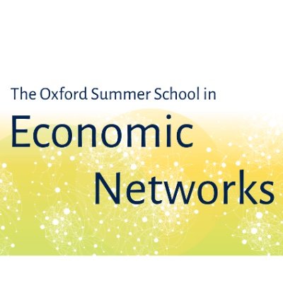 Oxford Summer School in Economic Networks