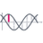 Mathematics In Oncology