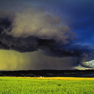 Agriculture and Global Change