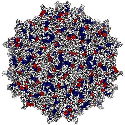 Balazs Lab