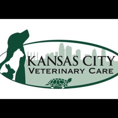 KC Veterinary Care
