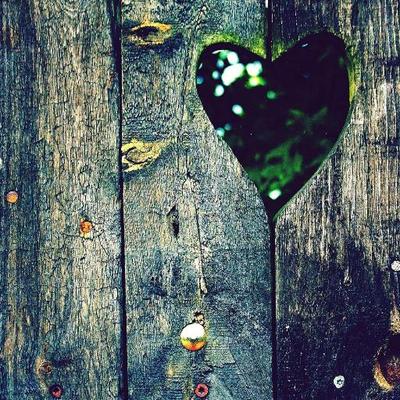 heartwood litmag