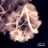 Mattevi Group: 2D materials, 3D printing