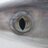 Shark Science