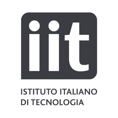 IIT