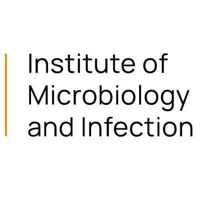IMIBirmingham