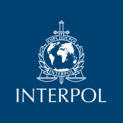 INTERPOL Illicit Goods and Global Health
