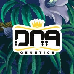 DNA Genetics