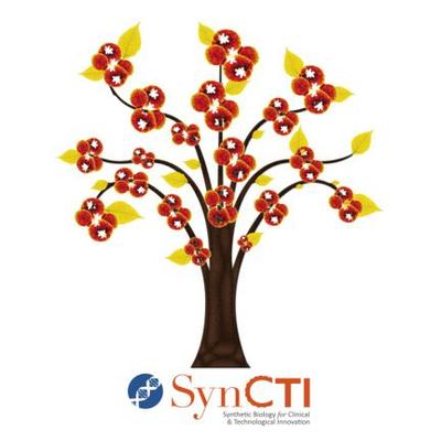 NUS SynCTI