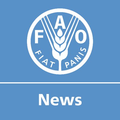 FAO Newsroom