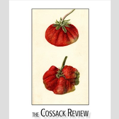 The Cossack Review