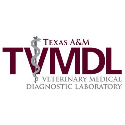 TVMDL