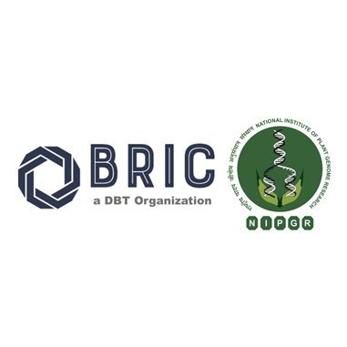 BRIC-NIPGR