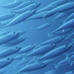 EU Water & Science