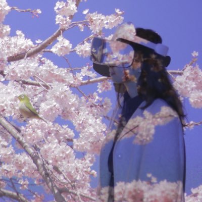 坂村 美奈 Mina Sakamura