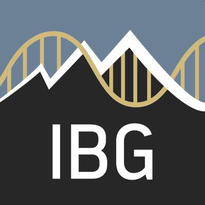 IBG