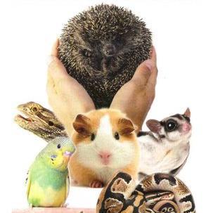 Veterinary Center