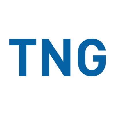 TNG Technology Consulting GmbH