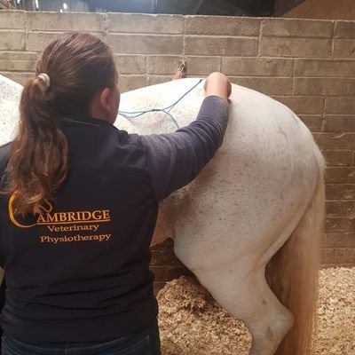Cambridge Veterinary Physiotherapy