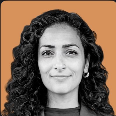 Dorsa Amir