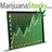 Marijuana Stocks